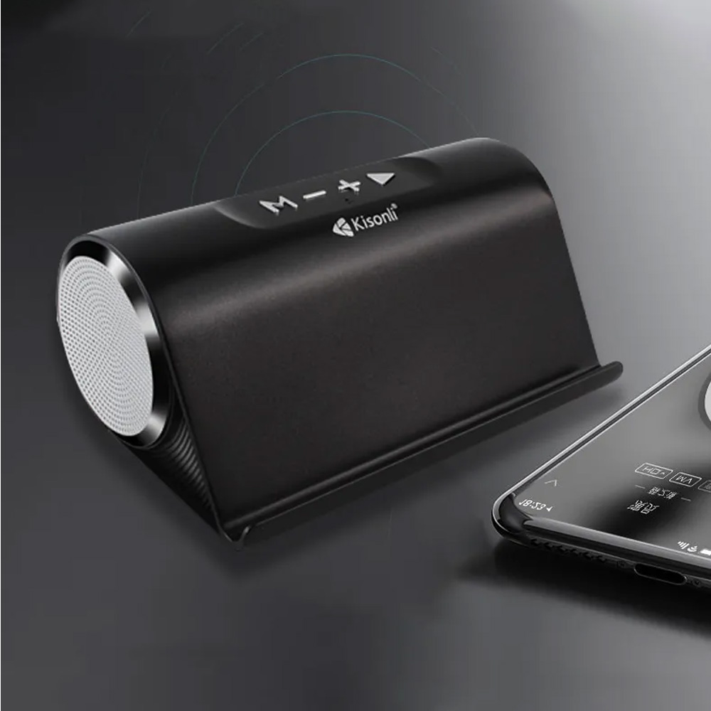 Dual speaker ks1_0006_Layer 3
